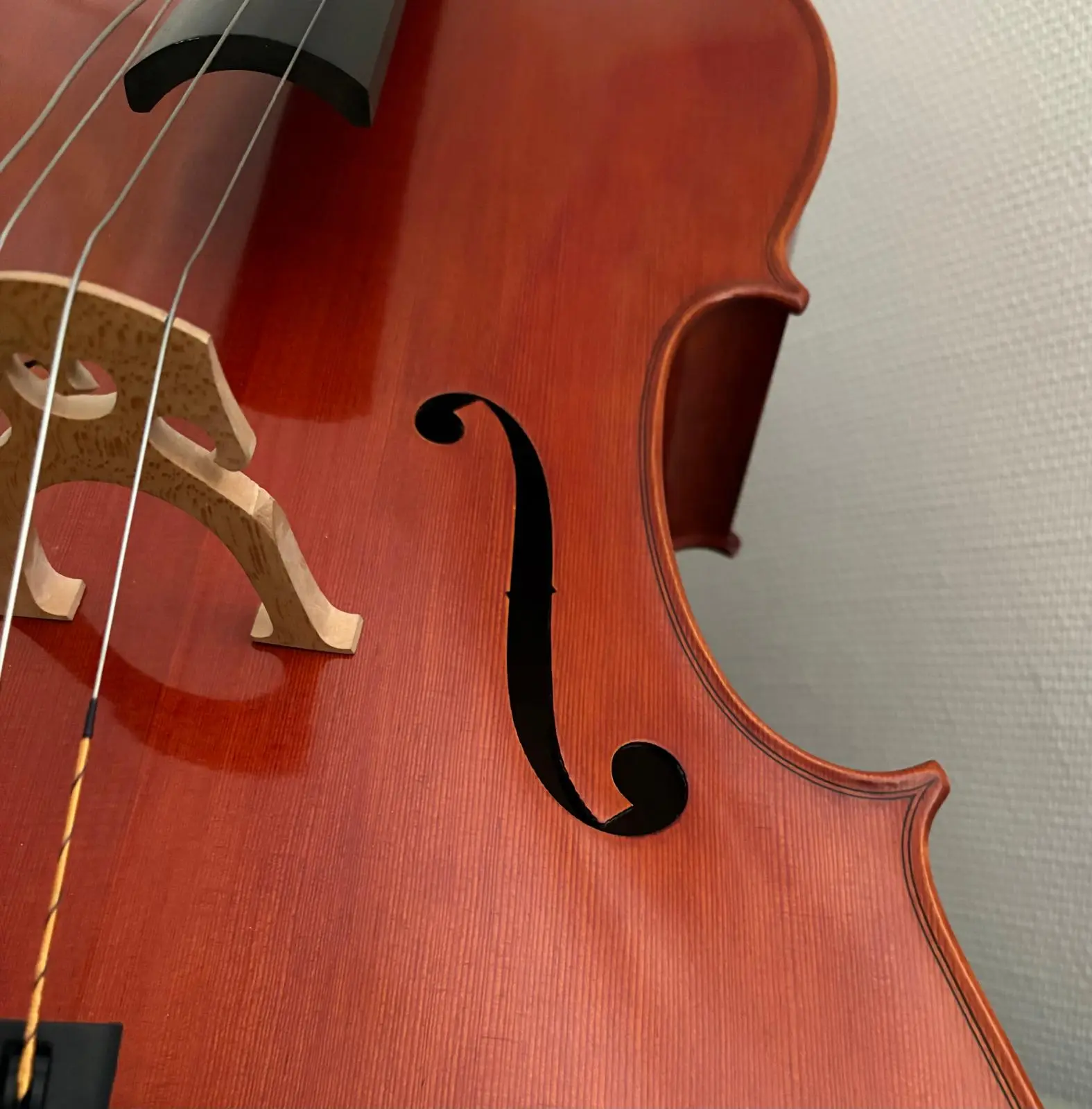 Sello lähikuvassa Encanto Art Cafen musiikkitapahtumaa varten